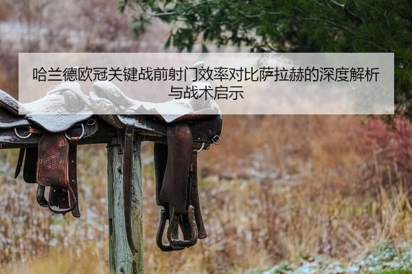哈兰德欧冠关键战前射门效率对比萨拉赫的深度解析与战术启示